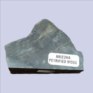Small Sample of Arizona Petrified Wood